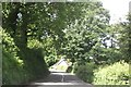 Cottage through the trees near Horrowmoor