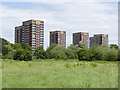 Tower blocks at Tamworth