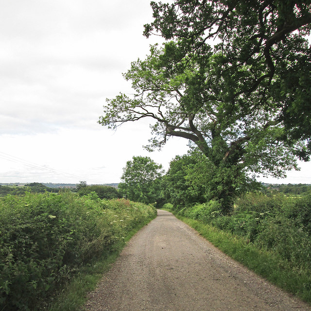 Between Strelley and Cossall