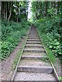 Steps in Fishwick Nature Reserve