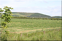NJ5445 : Field of Hay by Anne Burgess