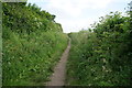 Leeds Country Way towards Bardsey