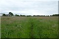 Footpath from Old Red House