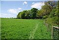 Footpath along the fence