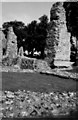 Ruins at Thetford Priory