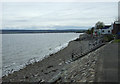 Cromarty Firth shoreline