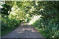 Bridleway leading to Angram Grange