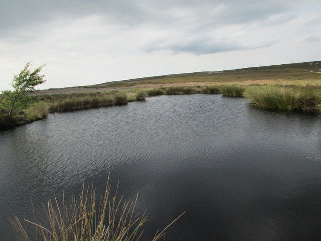 Brian's Pond