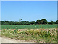 Farmland north of Langford