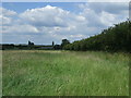 Farmland and hedgerow