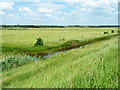 Land behind  Clementsgreen Creek sea wall