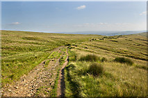 SD7738 : The path down Pendleton Moor by Ian Greig