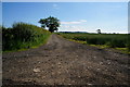 Track leading to Mount Pleasant Farm