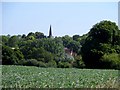 Great Hallingbury seen from Church Road