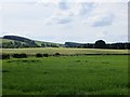 Barley, Saughtrees