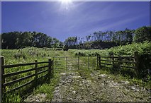 NX5856 : Gate to Jenoch Wood by Andy Farrington