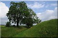 Defensive earthworks, Ludgershall Castle