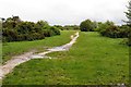 Path on Greenham Common