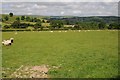 Farmland near Ty-mawr