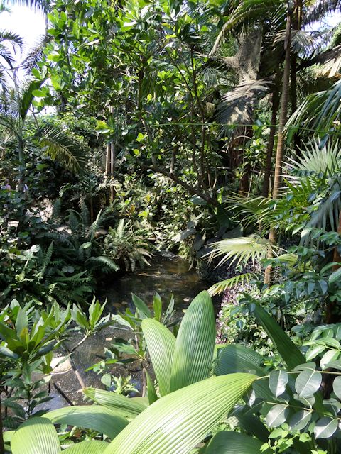 Tropical plants and stream © John Firth :: Geograph Britain and Ireland