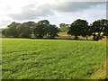 Field near Holeburn Bridge