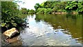 SO5516 : Upstream view, River Wye, Symonds Yat by Brian Robert Marshall