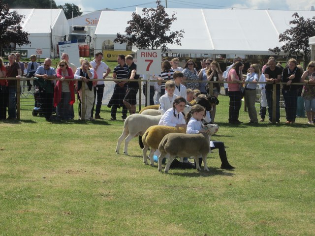 Young sheep handler competition, Royal Highland Show