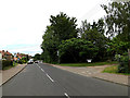 TL8248 : B1065 Lion Road, Glemsford by Geographer