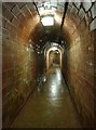 SX9371 : The Ness foot tunnel, Shaldon by Derek Voller