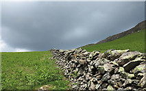 NY2115 : Wall rising towards  Littledale Edge by Trevor Littlewood