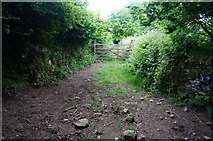 SX6159 : Footpath, approaching Blachford Park by jeff collins