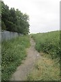 Bridleway - Rye Lane