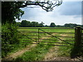 View across fields from Cot Lane