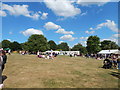TM0321 : Wivenhoe Summer Fair by Hamish Griffin