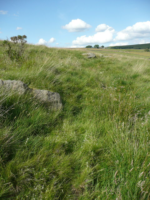 Drainage channel above Caty Well