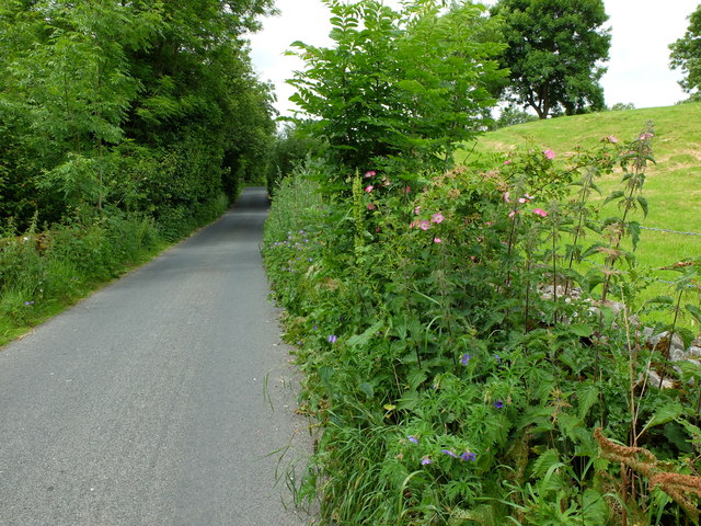 View along the lane, west of Cowgill