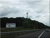 TQ5693 : Communication mast in The Oaks (woodland) by M25 by David Smith