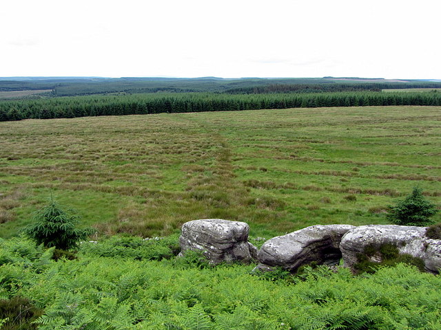 The Black Dyke south of Watch Crags