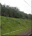 SK7276 : Railway cutting near Gamston Wood taken from an East Coast train by Steve  Fareham