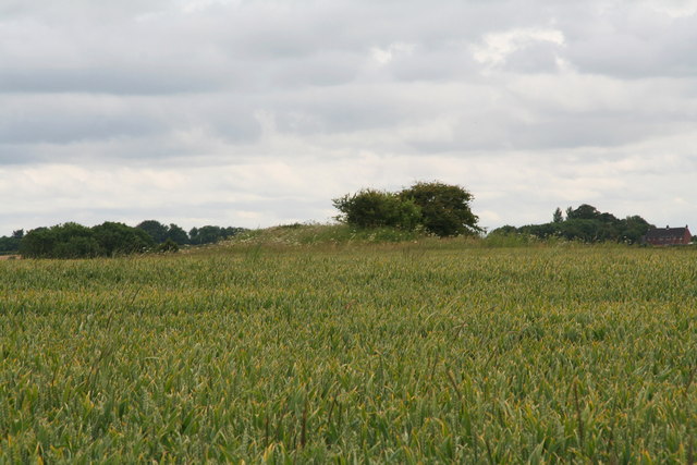 Spellow Hills, from near Langton Grange Farm