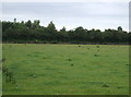 Farmland and woodland, Ash Holt