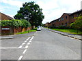 Looking south on Tarragon Drive