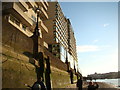 View of flats on the South Bank promenade from the Thames Beach