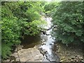 Looking south-west on the Gilderdale Burn