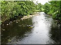 River Carron