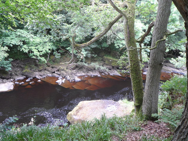 The River Tees in Shipley Wood