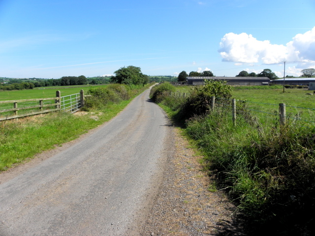 River Road, Meaghy © Kenneth Allen cc-by-sa/2.0 :: Geograph Ireland