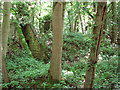 Air raid shelter on Site 3