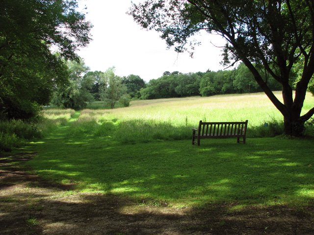 Seat by hay meadow