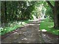 Concrete road through Site 3